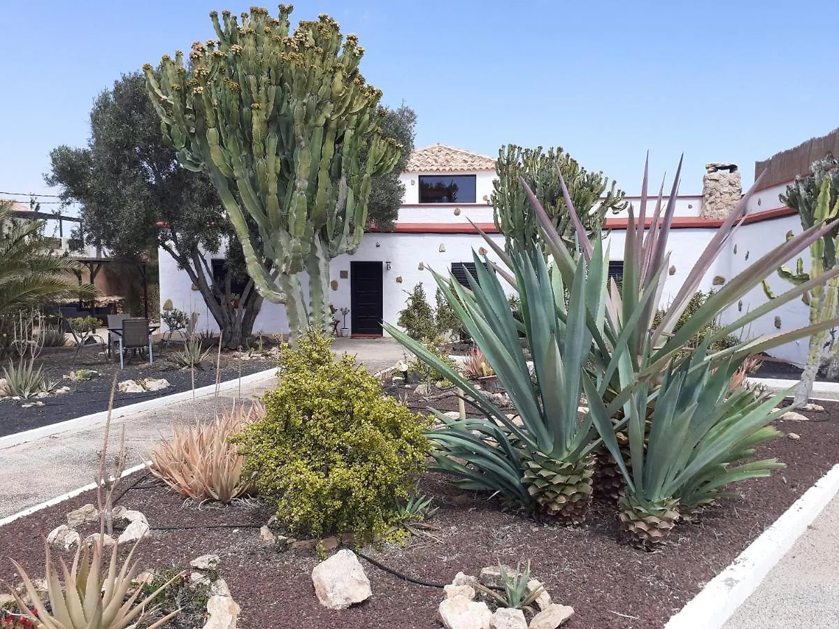 فندق مبيت وإفطار أنتيغوا B&B Villa Vital Fuerteventura - Atmospheric, Small-Scale, Adults Only