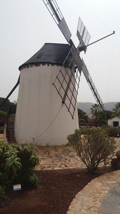 فندق مبيت وإفطار أنتيغوا B&B Villa Vital Fuerteventura - Atmospheric, Small-Scale, Adults Only